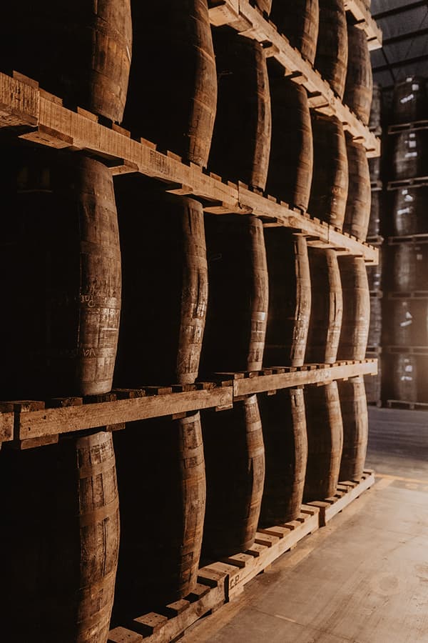 La excelencia hecha arte: Ron Zacapa XO